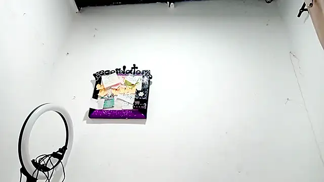 Snapshot of PetiteIvoryQueen19 chatting on December 2025 04:19:01 AM PetiteIvoryQueen19 online show from December 2025 04:19:01 AM