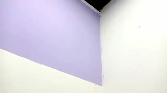 Snapshot of PetiteIvoryQueen19 chatting on February 2026 01:01:02 AM PetiteIvoryQueen19 online show from February 2026 01:01:02 AM