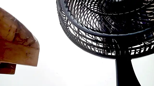 Snapshot of PetiteIvoryQueen19 chatting on February 2026 01:35:02 AM PetiteIvoryQueen19 online show from February 2026 01:35:02 AM