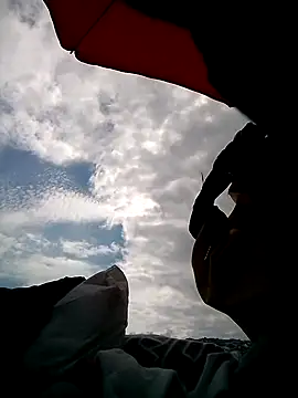 Lovely milk online show from September 2025 07:56:02 AM