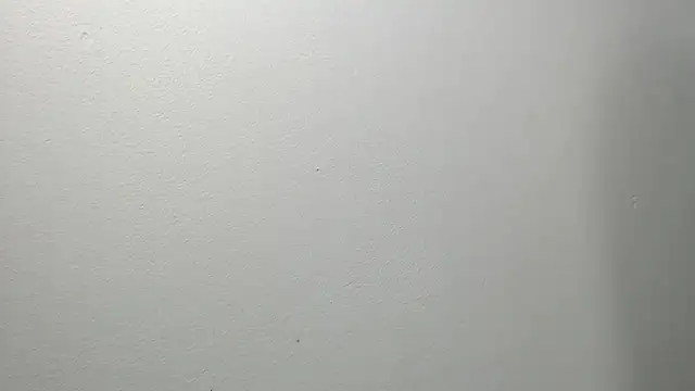 Snapshot of sussy_leon chatting on March 2025 12:22:02 PM sussy leon online show from March 2025 12:22:02 PM