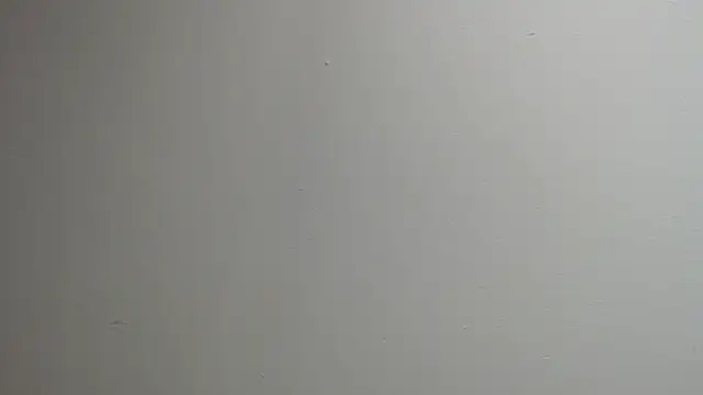 Snapshot of sussy_leon chatting on March 2025 12:35:02 PM sussy leon online show from March 2025 12:35:02 PM