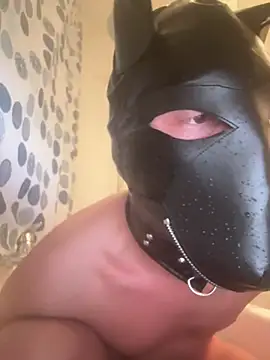 Snapshot of PlayDog123 chatting on March 2025 05:22:02 PM PlayDog123 online show from March 2025 05:22:02 PM