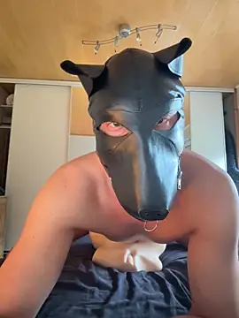 Snapshot of PlayDog123 chatting on October 2025 02:29:01 PM PlayDog123 online show from October 2025 02:29:01 PM