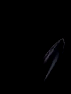 Snapshot of Inkognito0495 chatting on October 2025 05:31:02 AM Inkognito0495 online show from October 2025 05:31:02 AM