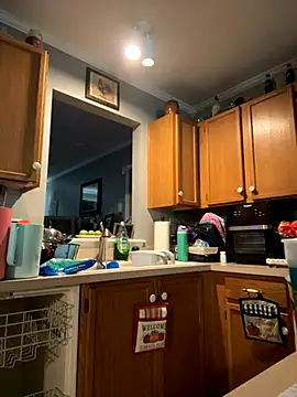 Snapshot of Watson4U chatting on October 2025 03:35:02 PM Watson4U online show from October 2025 03:35:02 PM