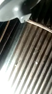 Huebolocko online show from December 2024 03:26:01 AM