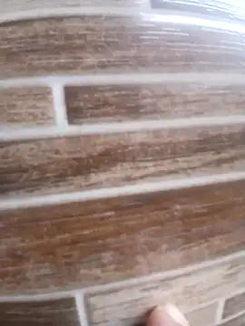 Pr3To021 online show from March 2025 06:31:01 PM