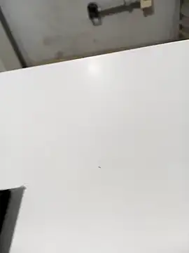 lobomisterioso13 online show from December 2024 07:48:01 AM