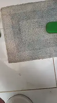 lobomisterioso13 online show from January 2025 12:37:02 PM