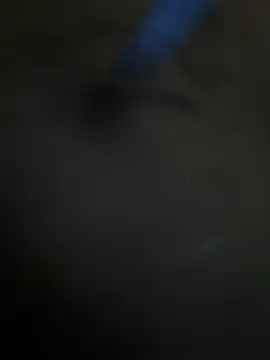 A-mira online show from February 2026 10:52:02 AM