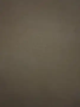 Snapshot of tuperrarica chatting on January 2025 04:50:02 AM tuperrarica online show from January 2025 04:50:02 AM