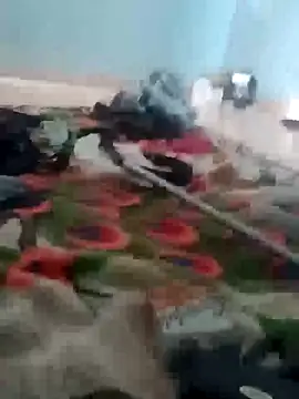 Snapshot of raiu1257 chatting on February 2025 09:32:02 PM raiu1257 online show from February 2025 09:32:02 PM