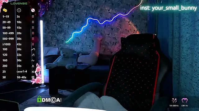 Your small bunny online show from March 2026 02:04:01 AM