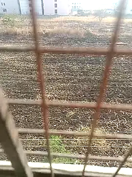 1010SumiT online show from January 2025 03:58:02 AM