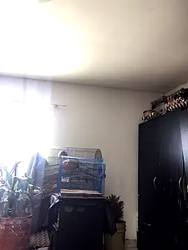 Miss oliviaa online show from October 2025 02:06:02 PM