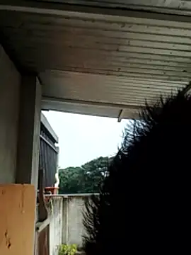 luchoarr online show from December 2025 01:07:01 PM