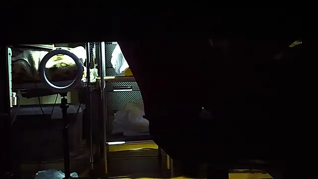 Snapshot of qoooqing67 chatting on December 2024 06:18:02 AM qoooqing67 online show from December 2024 06:18:02 AM