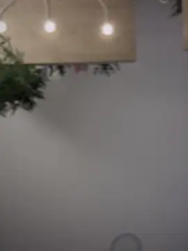 Aryrosee online show from September 2025 11:59:02 PM