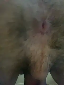 hornyboy739 online show from March 2026 11:44:01 PM