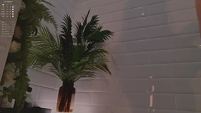 MichaellaMoon online show from December 2025 02:15:01 PM