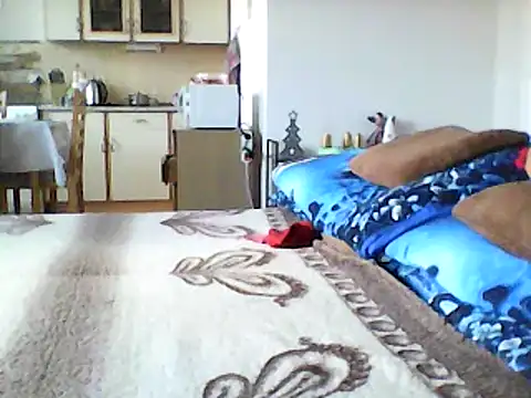 Snapshot of Lisak951 chatting on December 2024 09:30:02 AM Lisak951 online show from December 2024 09:30:02 AM