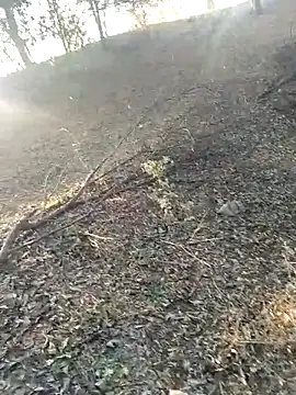 Snapshot of jellydicks chatting on February 2026 02:01:02 AM jellydicks online show from February 2026 02:01:02 AM