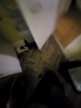 Polish41 online show from March 2026 06:58:01 AM