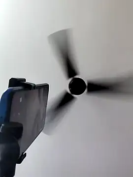 Tamilrojanew online show from October 2025 05:46:01 AM