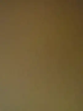 Tamilrojanew online show from April 2026 05:23:01 AM