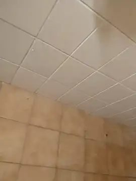 moder066 online show from December 2024 07:46:02 PM