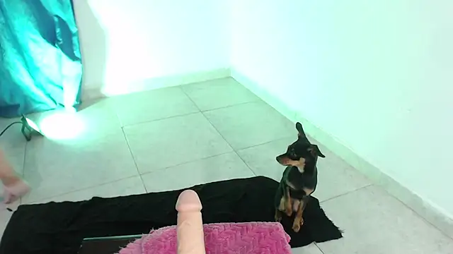 April sexycurvi online show from November 2025 01:37:01 AM