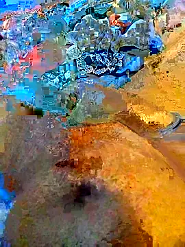 MackJos online show from December 2025 11:28:01 AM