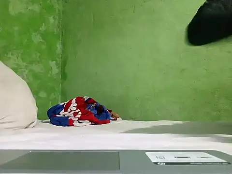 Snapshot of ruygw chatting on December 2024 04:20:01 AM ruygw online show from December 2024 04:20:01 AM