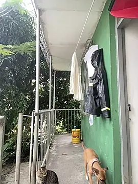 Jestebanano online show from February 2026 07:42:02 PM