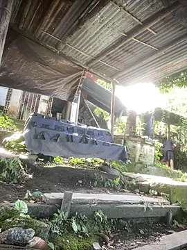 Jestebanano online show from April 2026 02:26:01 PM