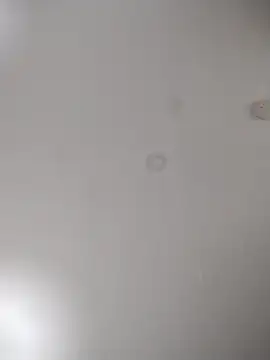 Snapshot of geilerschwanz64 chatting on October 2025 07:05:02 AM geilerschwanz64 online show from October 2025 07:05:02 AM