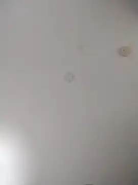 Snapshot of geilerschwanz64 chatting on October 2025 02:15:01 AM geilerschwanz64 online show from October 2025 02:15:01 AM