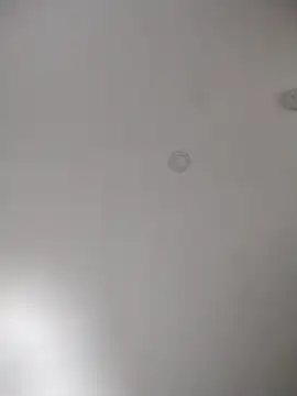 Snapshot of geilerschwanz64 chatting on October 2025 11:38:01 PM geilerschwanz64 online show from October 2025 11:38:01 PM