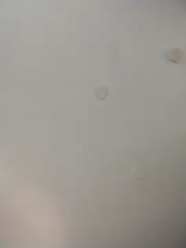 Snapshot of geilerschwanz64 chatting on November 2025 08:21:02 PM geilerschwanz64 online show from November 2025 08:21:02 PM