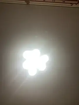 Janet Welder online show from December 2024 11:37:01 PM