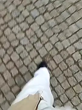 Snapshot of domexib chatting on February 2025 05:39:02 PM domexib online show from February 2025 05:39:02 PM