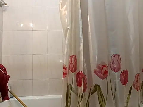 Snapshot of domexib chatting on February 2025 12:48:01 PM domexib online show from February 2025 12:48:01 PM