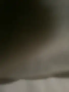 Snapshot of DINA-FOX chatting on February 2025 02:02:01 PM DINA-FOX online show from February 2025 02:02:01 PM