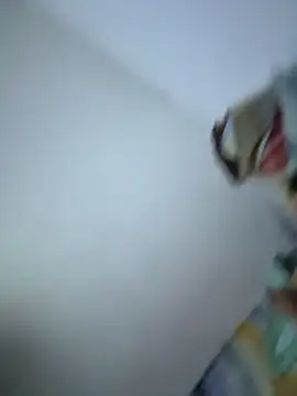 Snapshot of SweetBonniie chatting on November 2025 12:02:01 AM SweetBonniie online show from November 2025 12:02:01 AM