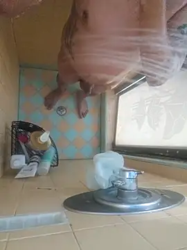 nakedtony81 online show from March 2026 10:43:01 AM