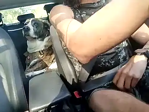 Snapshot of FRANKY_nycc1978 chatting on October 2025 09:30:02 AM FRANKY nycc1978 online show from October 2025 09:30:02 AM