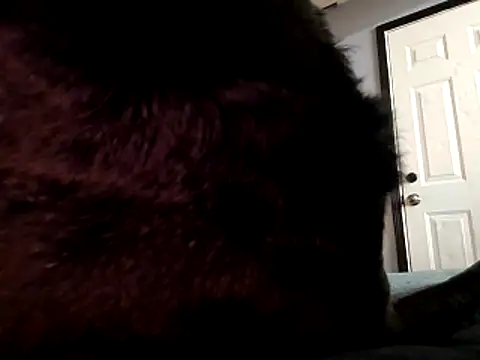 Snapshot of DevinToore chatting on October 2025 03:31:01 AM DevinToore online show from October 2025 03:31:01 AM