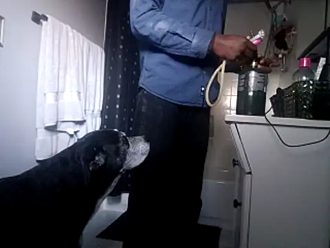 Snapshot of DevinToore chatting on October 2025 10:33:02 PM DevinToore online show from October 2025 10:33:02 PM