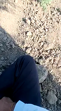 Snapshot of dickerdaddy25 chatting on February 2025 04:26:02 AM dickerdaddy25 online show from February 2025 04:26:02 AM